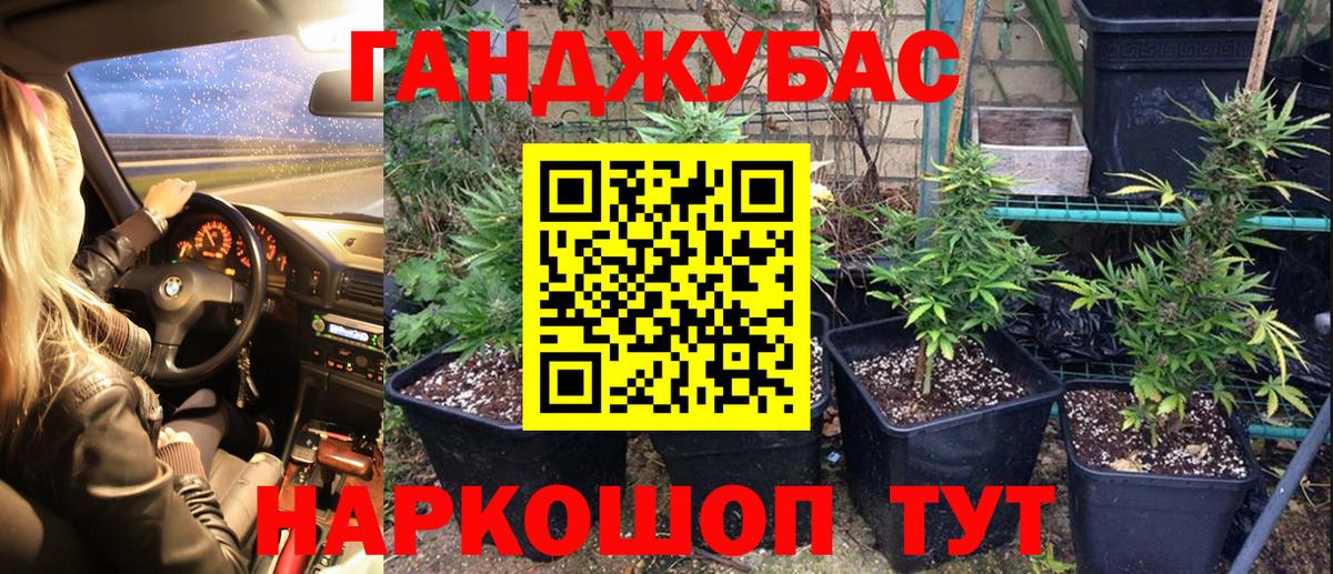 Бошки марихуана сатива Михайловка